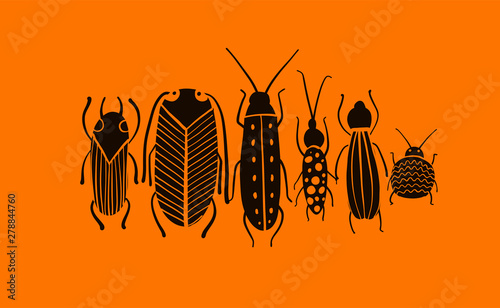 Funny beetles collection for your design