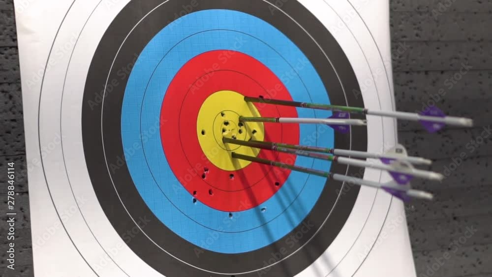 Target for archery shooting. Arrow hitting the target . Target for archery shooting. Arrow hitting the target .