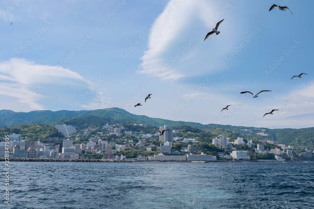 Fototapeta premium seagulls and japanese city