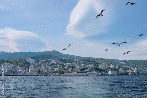 seagulls and japanese city