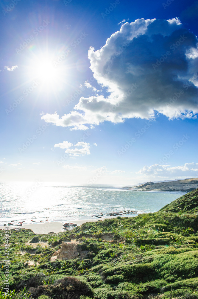 Beautiful coastline in the Arai-Te-Uru Recreation Reserve, Hokianga harbor, Westcoast Northland, North Island, New Zealand Beautiful coastline in the Arai-Te-Uru Recreation Reserve, Hokianga harbor, Westcoast Northland, North Island, New Zealand
