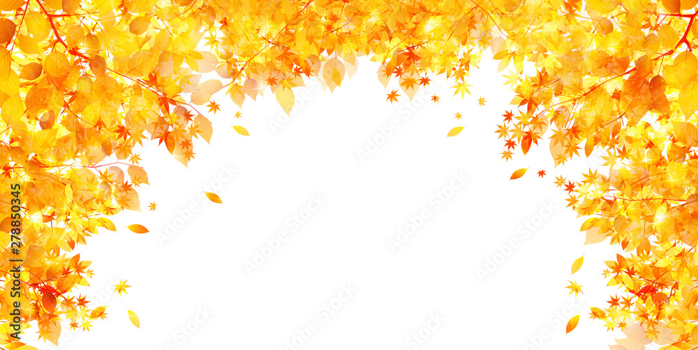 紅葉 秋 葉 背景 Stock Vector Adobe Stock