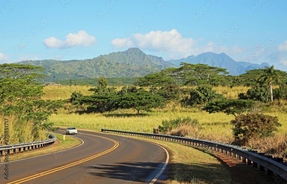 Scenic road, Kauai
