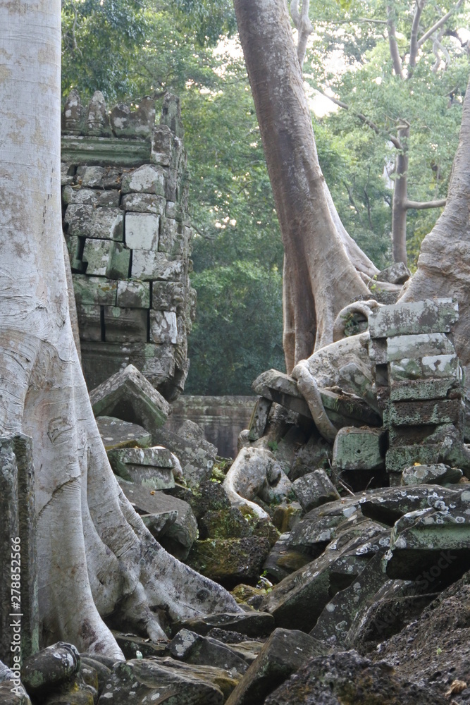 jungle temple