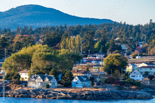 Aerial view of coastal landscape, houses/homes in residential location by the sea and mountains on waterfront ocean water harbour bay, in Victoria, Canada with autumn/ autumnal color plants and trees. photo