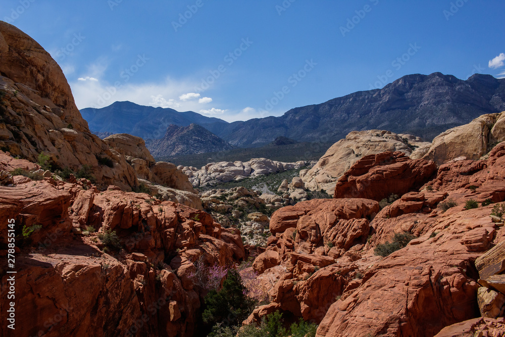 Red Rock Canyon Landscape