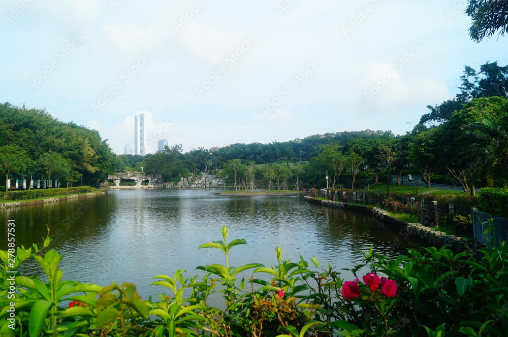 Pond and reservoir landscape