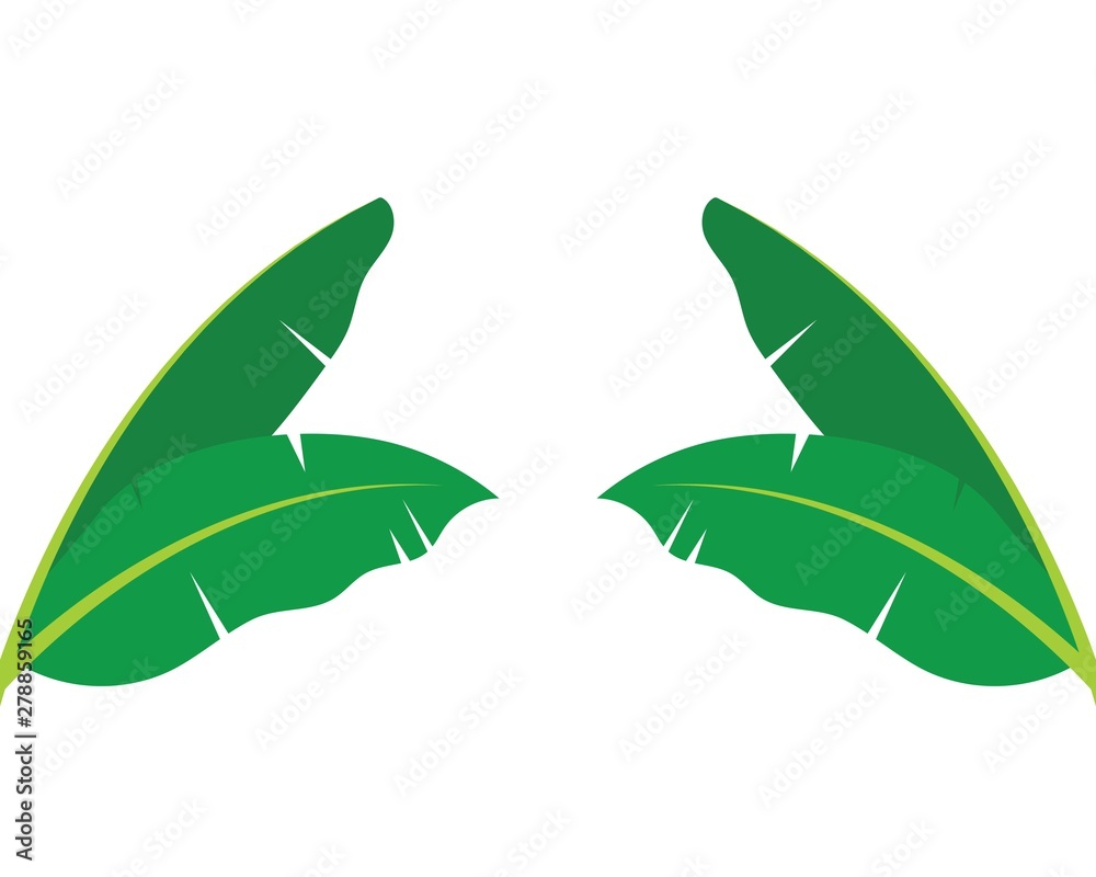 banana leaves element vector icon illustration banana leaves element vector icon illustration