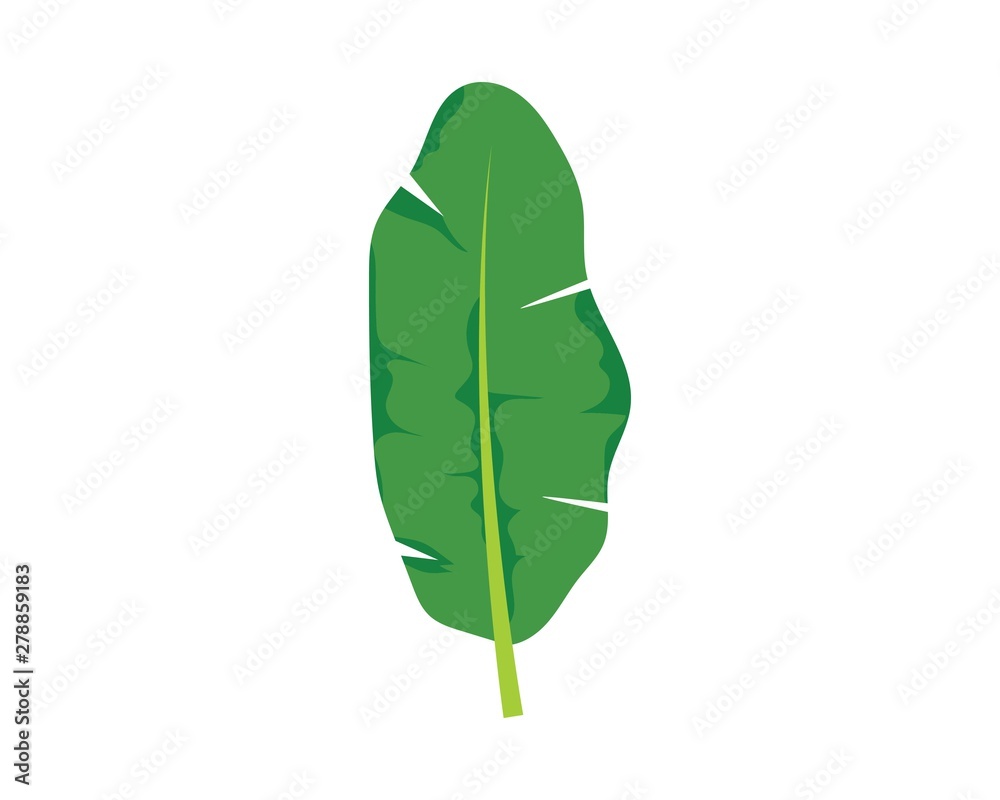 banana leaves element vector icon illustration banana leaves element vector icon illustration