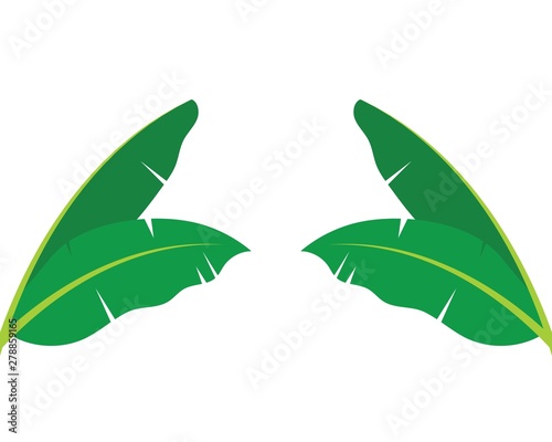 banana leaves element vector icon illustration