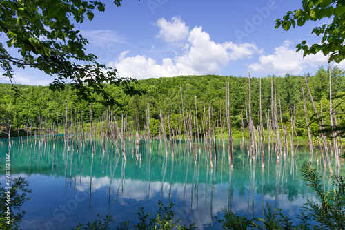 北海道の青い池