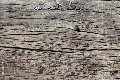 Old wood surface weathering