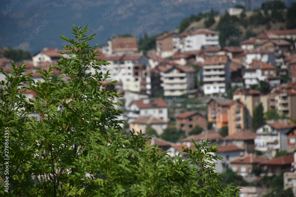 A Small Town in the Mountains A Small Town in the Mountains