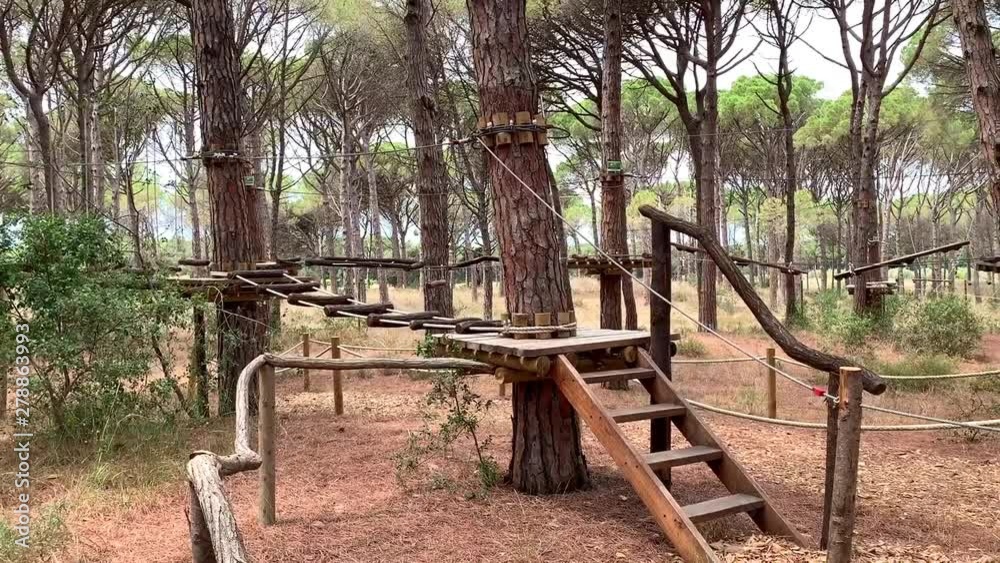 Adventure climbing high wire park in pine forest. Summer time, no people. Safe sports installations, good for adults and kids. Adventure climbing high wire park in pine forest. Summer time, no people. Safe sports installations, good for adults and kids.