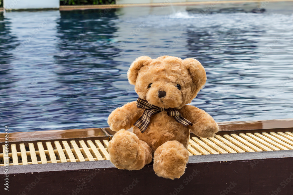 Teddy bare beside the pool. alone