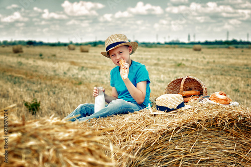 A boy on a picnic in the field on a summer day . Children's outdoor recreation