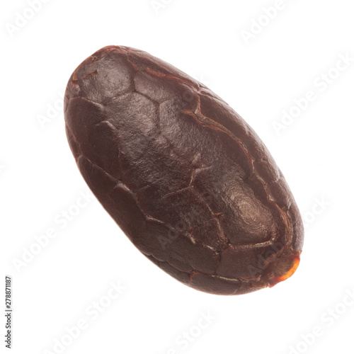 Obraz na płótnie dried cacao bean isolated on white background w salonie