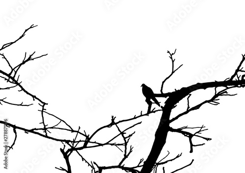 Silhouette of bird perched on tree branches isolated on white background with clipping path, vector illustration