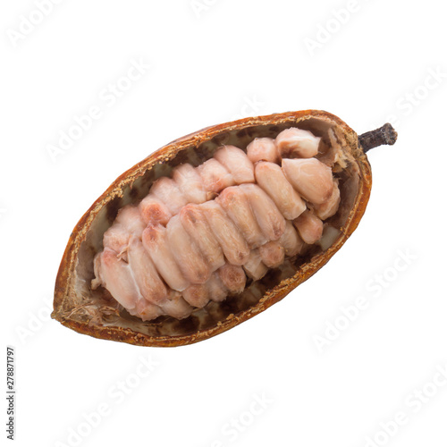 half of cacao pod with cacao beans isolated on white background. top view