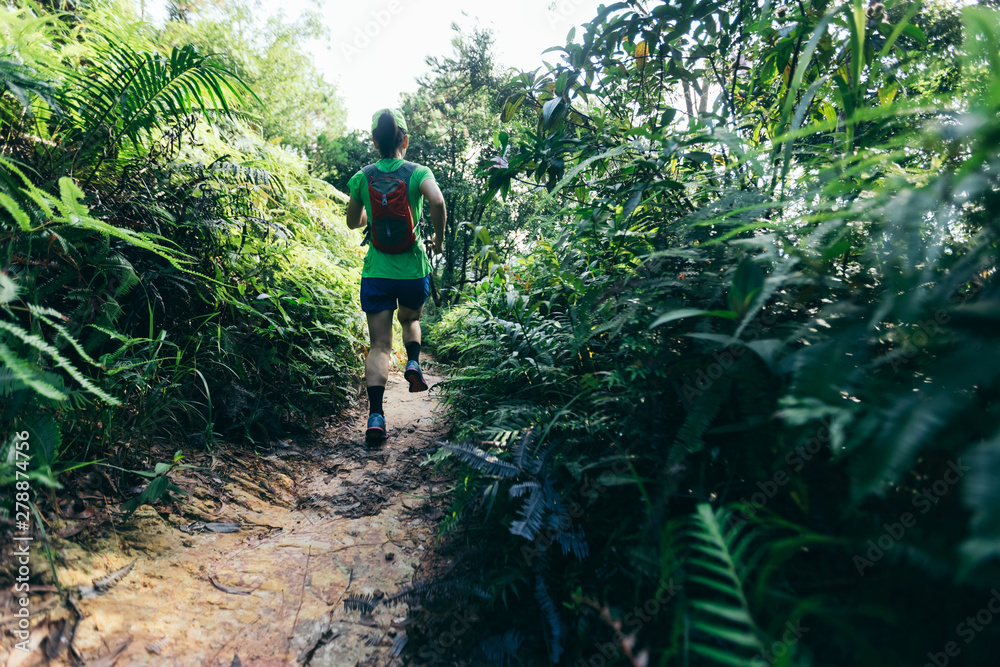 Obraz premium Woman ultra marathon runner running on tropical forest trail