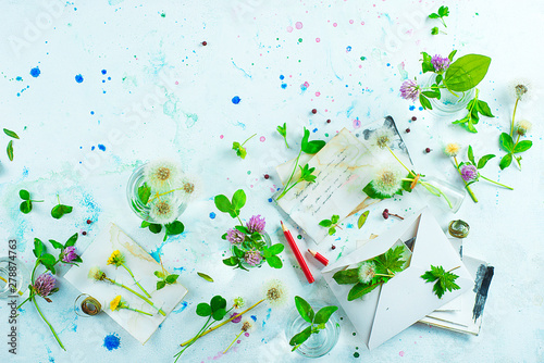 Clover and dandelion header with notes, paper and envelopes. Summer homework concept. Pastel flat lay with cpy space photo