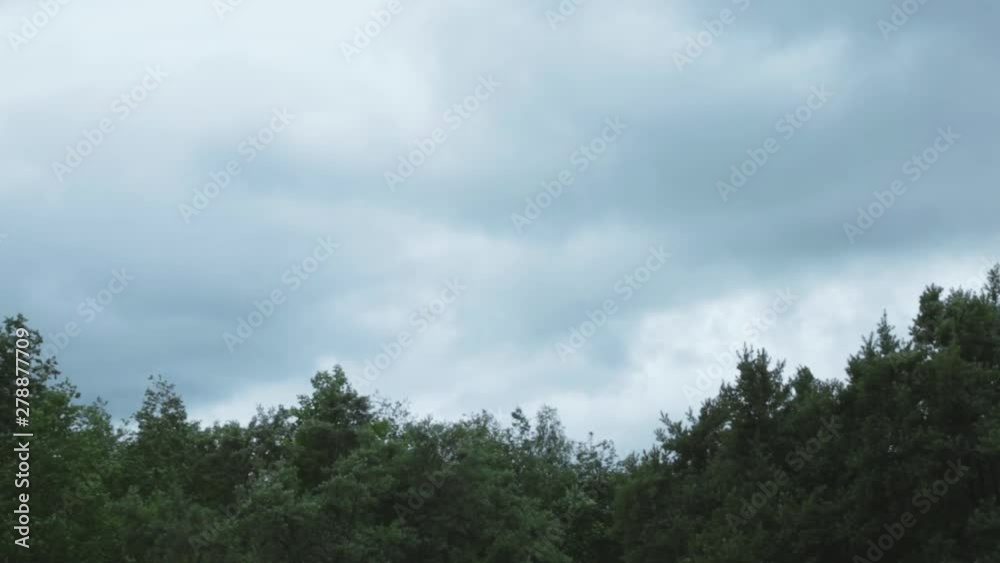 Very strong summer storm with close to hurricane force winds. Heavy strong wind shakes the branches of trees against black rainy clouds Very strong summer storm with close to hurricane force winds. Heavy strong wind shakes the branches of trees against black rainy clouds