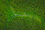 Summer warm sun light forest with river aerial view