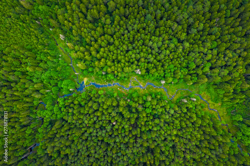 Summer warm sun light forest with river aerial view photo