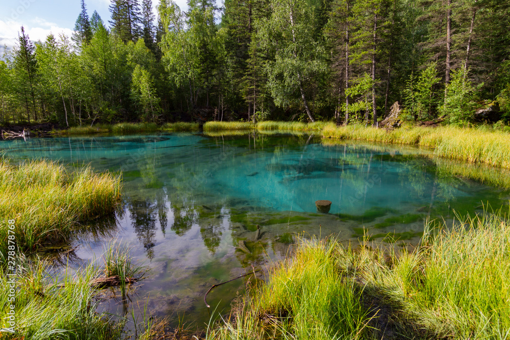 The green thermal lake near Aktash, Altai mountains. Summer time. The pacifying landscape among the wood.