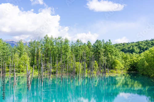 北海道の青い池