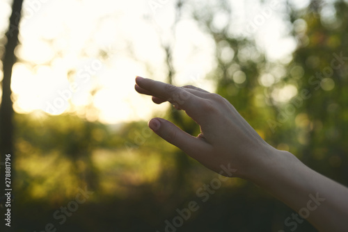hand holding a leaf © SHOTPRIME STUDIO