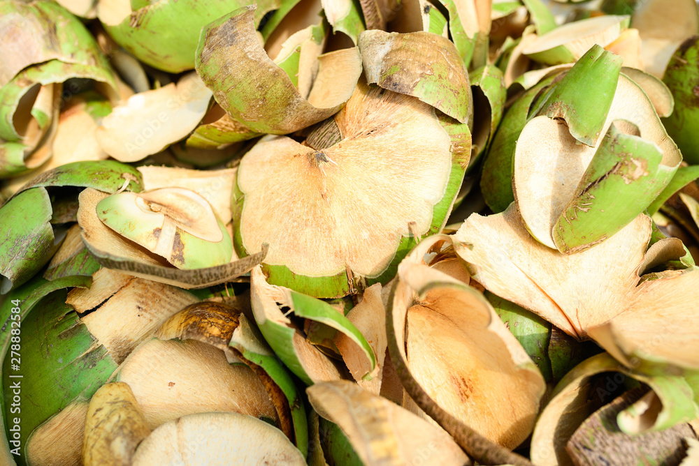 Raw coconut shell for backgrounds. Raw coconut shell for backgrounds.