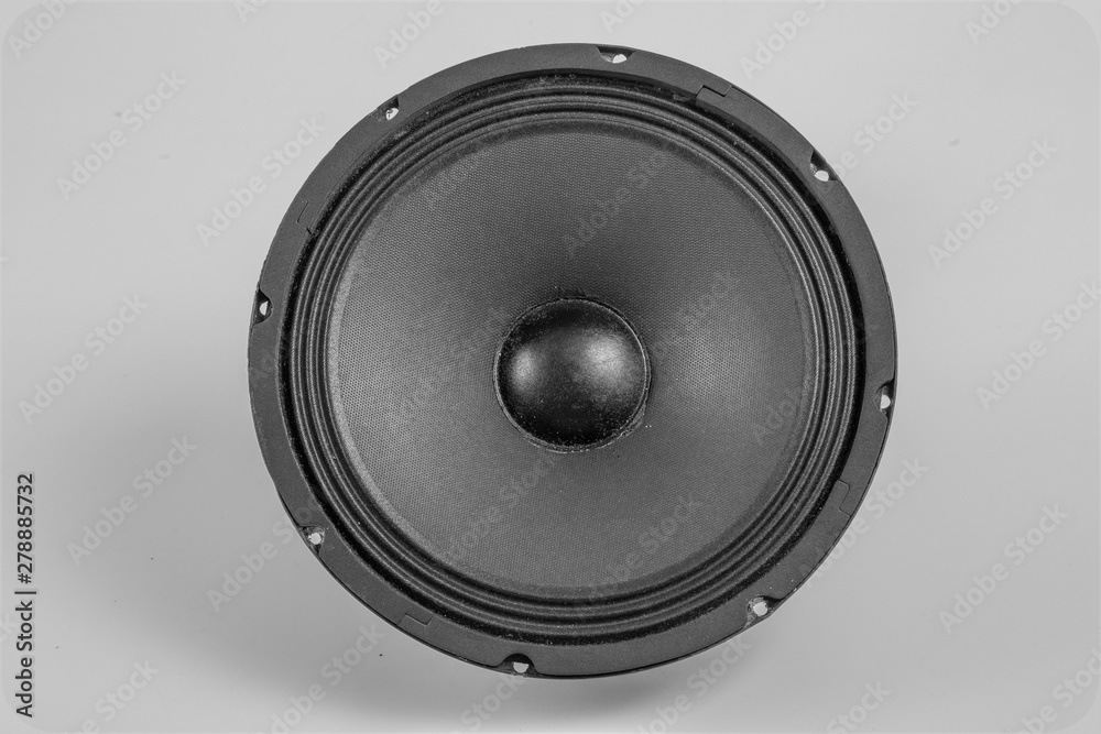 Close up of bare audio speakers on the white background. Close up of bare audio speakers on the white background.