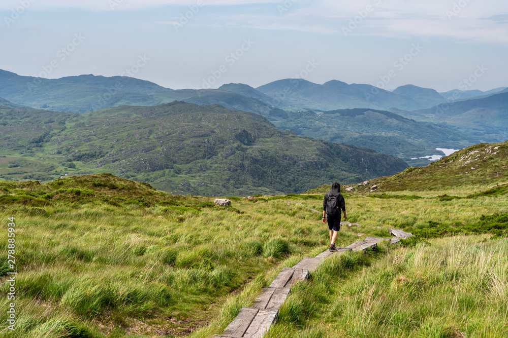 Male hiker descending from the Torc Mountain peak, part of the Mangerton Mountains Group range in Co. Kerry, Ireland, on a boarded footpath over the bogland and tall grass. Scenic Irish hiking trail.