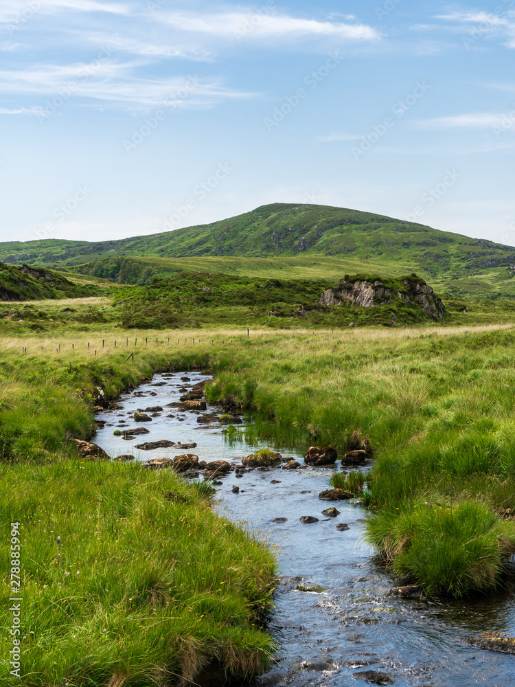 Mountain landscape with a river flowing through a tall grass meadow and leading to a distant peak. The Owengarriff River on a summer day in Killarney, County Kerry, Ireland.
