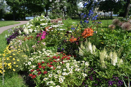 Fototapeta Naklejka Na Ścianę i Meble -  flowers in the garden