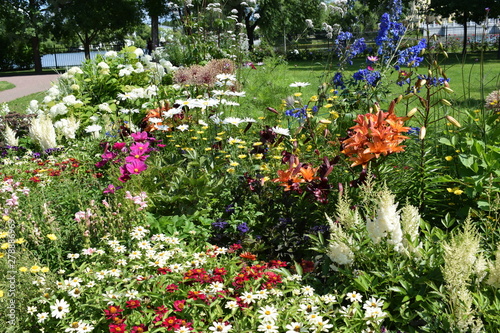 Fototapeta Naklejka Na Ścianę i Meble -  flowers in the garden