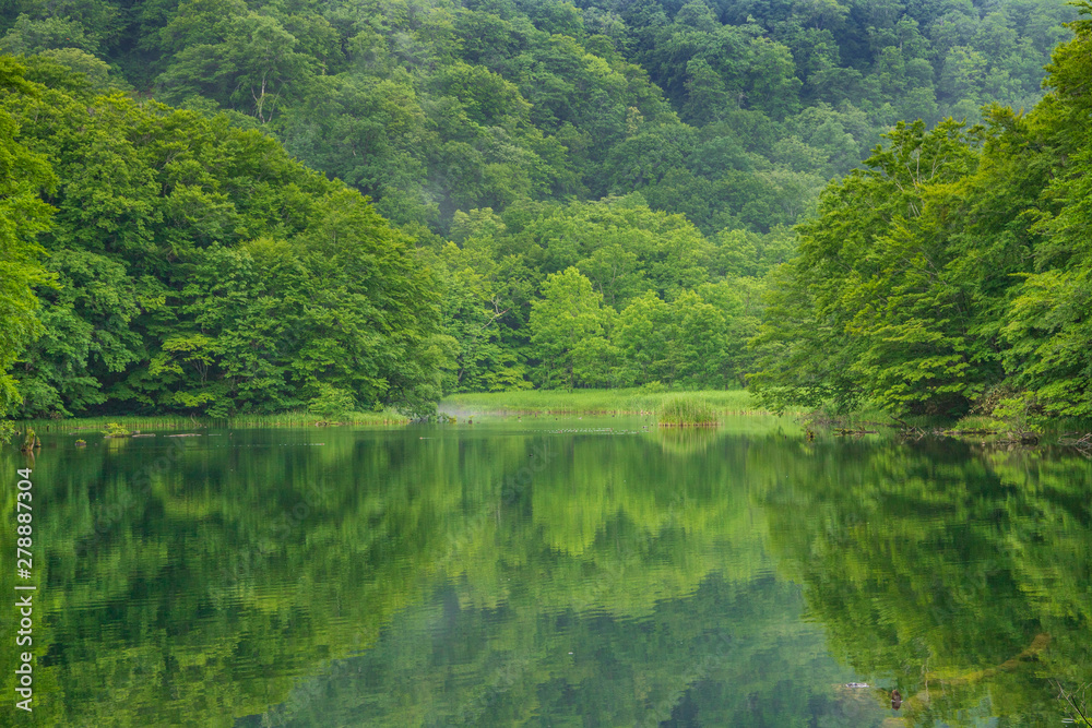 Fototapeta premium Oirase mountain stream in early summer