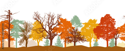 Seamless pattern of autumn forest silhouette. Bright colors of trees. Silhouettes of bare trees. Vector illustration.