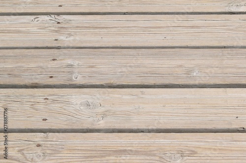 texture of old wood background