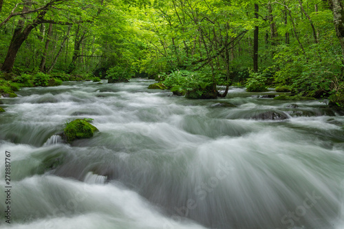 Oirase mountain stream in early summer