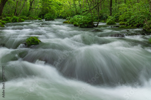 Oirase mountain stream in early summer