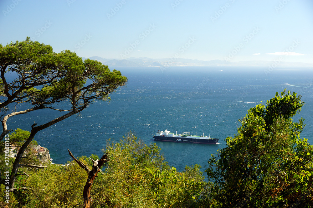 Gibraltar harbor, seaport, ships in the Bay of Algeciras.
