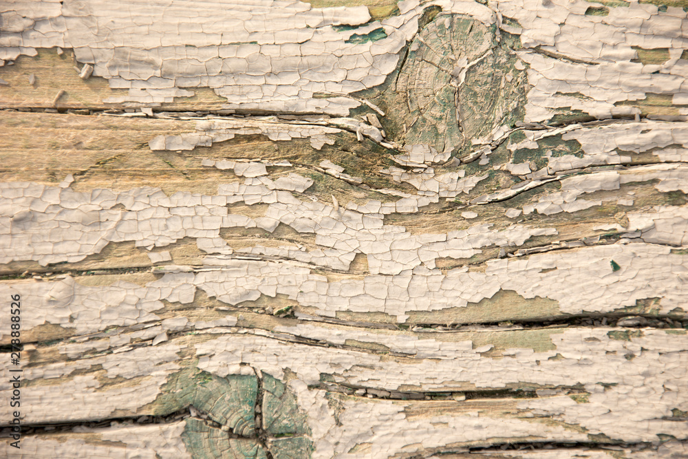 Fototapeta premium wooden background with paint