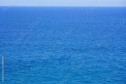 View of dolphins in the water by Dolphin Point in the Noosa National Park in Noosa, Sunshine Coast, Queensland, Australia