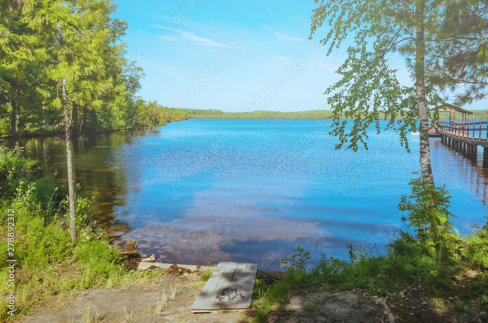 Summer cozy landscape - a lake surrounded by trees, against the bright blue sky. The concept of peace, peace, unity with nature, Zen. Place for text.