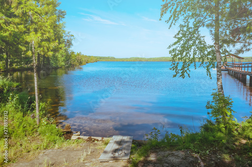 Summer cozy landscape - a lake surrounded by trees  against the bright blue sky. The concept of peace  peace  unity with nature  Zen. Place for text.