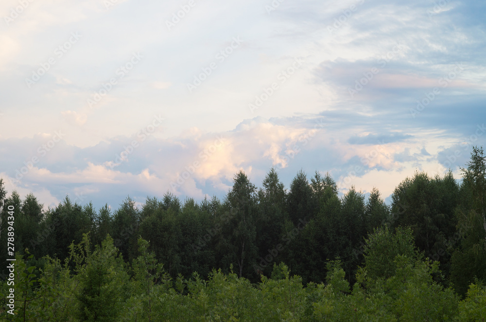 Cloudy summer landscape, beautiful scenic cirrus clouds over a dense forest Cloudy summer landscape, beautiful scenic cirrus clouds over a dense forest