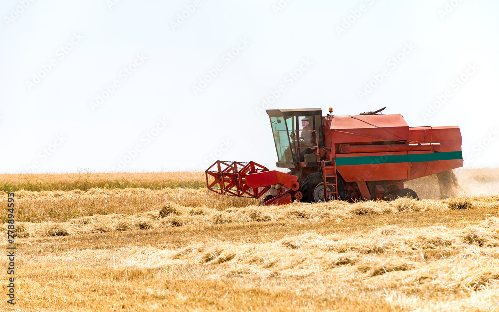 Fototapeta premium moissonneuse en action sur le champ de blé