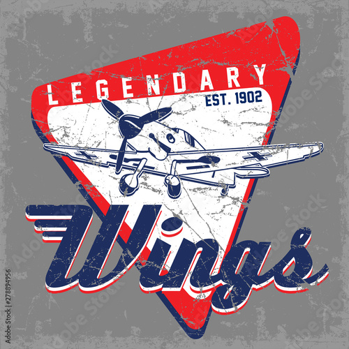 Wings vector graphic design.